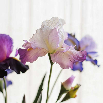 Artificial Silk Iris Flower