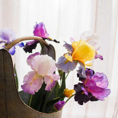 Artificial Silk Iris Flower