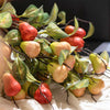 Artificial Wax Apple Bouquet with Ceramic Vase