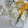 Small Bundle of Artificial Chamomile Daisies