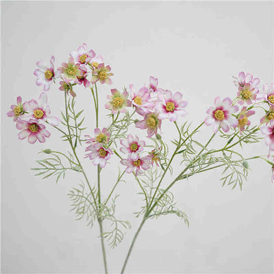 Long-Stem Artificial Cosmos