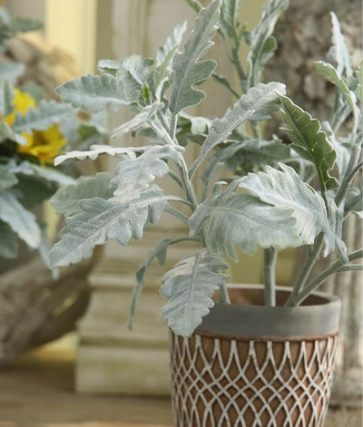 Artificial Dusty Miller Plant Flocked Silver Leaf Daisy