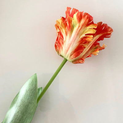 Realistic Fringed Faux Flower Moisture-Touch Parrot Tulip