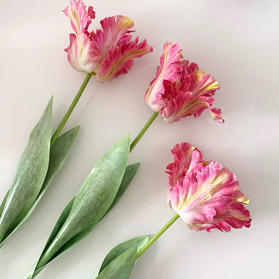 Realistic Fringed Faux Flower Moisture-Touch Parrot Tulip