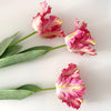 Realistic Fringed Faux Flower Moisture-Touch Parrot Tulip