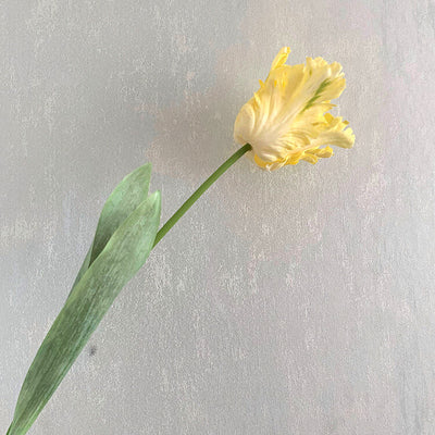 Realistic Fringed Faux Flower Moisture-Touch Parrot Tulip