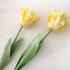 Realistic Fringed Faux Flower Moisture-Touch Parrot Tulip