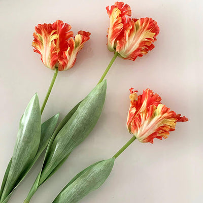 Realistic Fringed Faux Flower Moisture-Touch Parrot Tulip