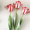 Realistic Fringed Faux Flower Moisture-Touch Parrot Tulip