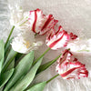 Realistic Fringed Faux Flower Moisture-Touch Parrot Tulip