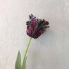 Realistic Fringed Faux Flower Moisture-Touch Parrot Tulip