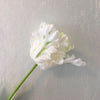 Realistic Fringed Faux Flower Moisture-Touch Parrot Tulip