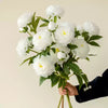 5 Stems of White Peony