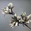 Two-Head Snow Lotus Artificial Flowers European Style Wilted Design