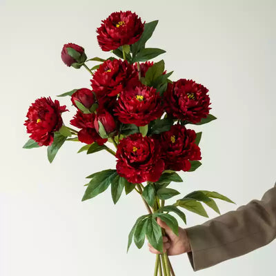 5 Stems of Bright Red Peony