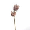 Artificial King Protea Stem with Two Blooms Faux Floral Arrangement