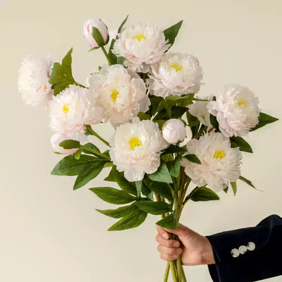 5 Stems of Light Pink Peony