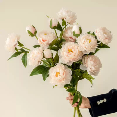 5 Stems of Champagne Peony