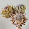 Artificial King Protea Stem with Two Blooms Faux Floral Arrangement