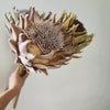 Artificial King Protea Stem with Two Blooms Faux Floral Arrangement