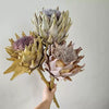 Artificial King Protea Stem with Two Blooms Faux Floral Arrangement