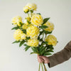 5 Stems of Yellow Peony