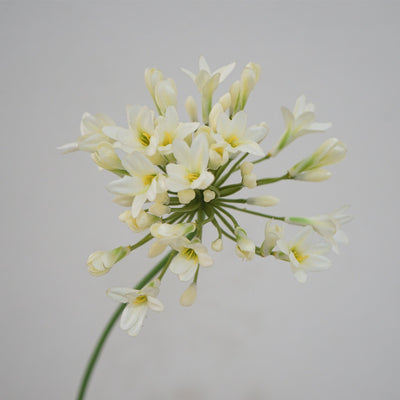 Lily of the Nile Artificial Flowers