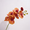 Moth Orchids Artificial Plant