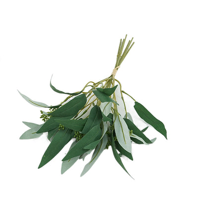 Eucalyptus Le