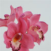 Artificial Orchid Bouquet