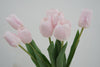 Tulip Symphony pink