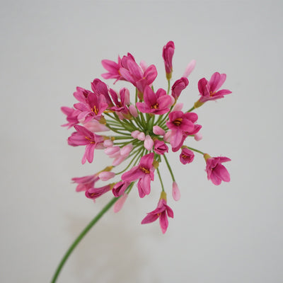 Lily of the Nile Artificial Flowers