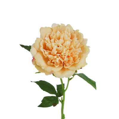 Peony Artificial Flowers