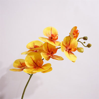 Moth Orchids Artificial Plant