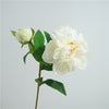 Peony Artifici white