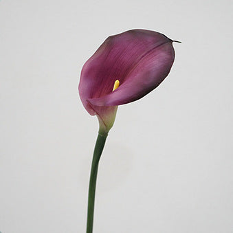 Calla Artificial Wedding Holding Flowers