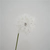 White Dandelion Simulation Flower