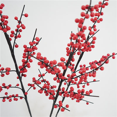 Ilex Berries A