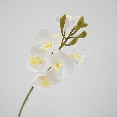 Cymbidium Faberi Orchid Artificial Plant Realistic